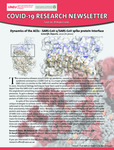 Dynamics of the ACE2 - SARS-CoV-2/SARS-CoV spike protein interface (Issue 20, 18 August 2020)