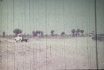 فيلم وثائقي عن الانجازات ومسيرة طلبة جامعة الإمارات تأييد الإتحاد وكلمة الشيخ زايد by - -